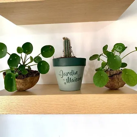 Appartement Sia's Tirana